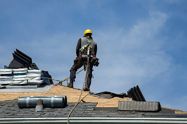 Professional Roofing technician working in Dahinda, IL